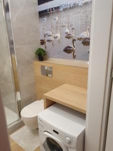 łazienka z toaletą i pralką w obiekcie Apartament Gliwice Górnych Walów w mieście Gliwice