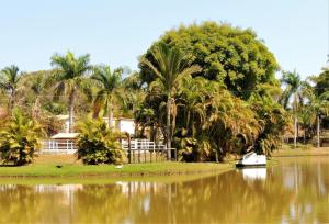 a boat on a river with palm trees at Hotel Fazenda Raiz Mineira - Estamos a 21,2 km de Carmo do Rio Claro in Conceição da Aparecida