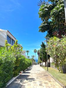 a cobblestone street with palm trees and a building at Silver & Brownie, Nuevo apart cerca de la Playa in Playa de las Americas