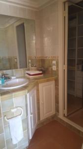 een badkamer met een wastafel en een spiegel bij Appartement Les Oliviers in Saint-André