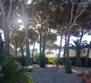 A garden outside Enjoy your holidays 300m to the Mediterranean sea at Villa DIVALI