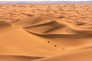 Fotografie z fotogalerie ubytování Chegaga desert Trips camp v destinaci Mhamid