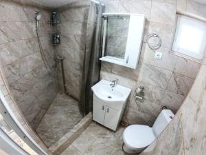 a bathroom with a shower and a toilet and a sink at Cabana Trif in Arada