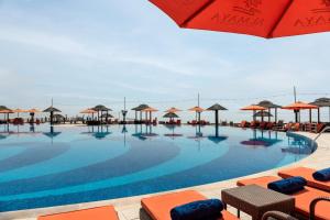 a large swimming pool with chairs and umbrellas at Al Maya Island & Resort in Abu Dhabi