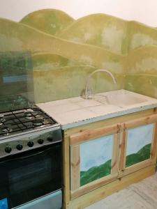 a kitchen with a sink and a stove at Casa de oaspeti adorabila aproape de natura in Sărata-Monteoru