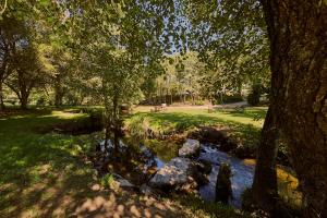 einen Fluss in einem Park neben einem Baum und einem Feld in der Unterkunft ALBERGUE SEGUE O CAMIÑO in Sigüeiro