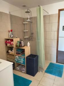 eine Dusche im Bad mit blauen Teppichen in der Unterkunft apartment, gite by the canal l Est,river Coney vosges france in Fontenoy-le-Château