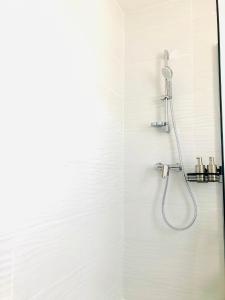 eine Dusche mit Duschkopf im Bad in der Unterkunft Au petit canal de Bavilliers in Bavilliers