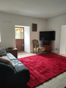 a living room with a couch and a red rug at lovely apartment, gite, visit the vosges france in Fontenoy-le-Château