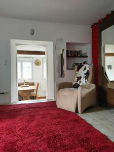 ein Wohnzimmer mit einem Sofa und einem roten Teppich in der Unterkunft apartment, gite by the canal l Est,river Coney vosges france in Fontenoy-le-Château