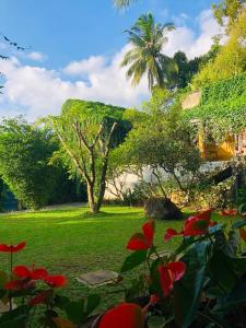 um jardim verde com flores vermelhas e uma palmeira em GODDESS Kandy em Kandy