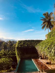 a pool of water with a palm tree in the background at GODDESS Kandy in Kandy