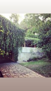 einen Garten mit Reben, die über einem steinernen Gehweg wachsen in der Unterkunft GODDESS Kandy in Kandy