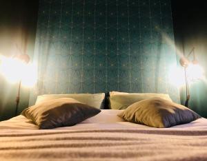 een slaapkamer met een bed met 2 kussens en 2 verlichting bij Au petit canal de Bavilliers in Bavilliers