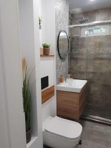 La salle de bains est pourvue de toilettes, d'un lavabo et d'une douche. dans l'établissement Apartament AMA Sibiu, à Sibiu
