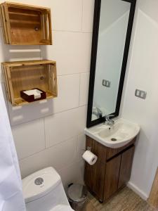 een badkamer met een toilet, een wastafel en een spiegel bij Cabañas El jardín de Jacinta in Coihaique