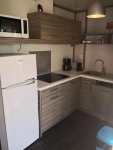 a kitchen with a white refrigerator and a sink at La Colline des Ocres Village de vacances 3 étoiles in Apt