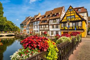 a group of houses next to a river with flowers at Appartement Orchidées proche centre Ville in Colmar