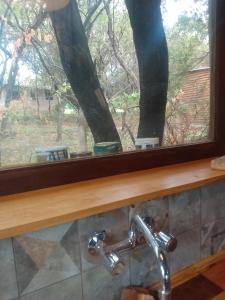 a bathroom window with a sink and a tree at Chañares in San Javier