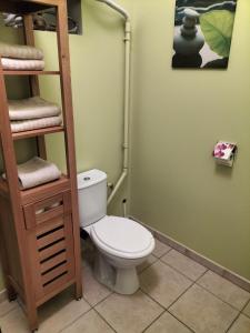 a bathroom with a toilet with a wooden ladder at Studio avec un jardin privatif sans vis-à-vis in Berck-sur-Mer