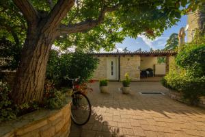 Vonkajšia záhrada v ubytovaní Holiday stone house
