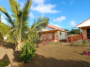 a house with a palm tree in a yard at cabañas Te Pito Kura in Hanga Roa