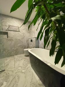 a bathroom with a bath tub and a plant at Samura Panorama Guest House in Thulusdhoo