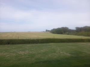 a field with green grass and trees in the distance at chambre d'hôte trôo in Trôo