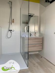 a bathroom with a shower and a sink at OPAL'APPART in Boulogne-sur-Mer
