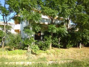 een wit huis met bomen ervoor bij Apartments Krešimir beauty with shadow trees and parking place in Pag