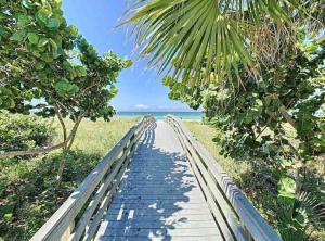 a wooden path to the beach with a palm tree at Steps From the beach, renovated 1bd 1 bth in Clearwater Beach