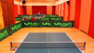 Stolní tenis v ubytování Wellness & Sport Hotel TTC nebo okolí