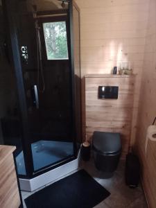 Raków的住宿－Domki letniskowe Balia sauna Leśny Czar，带淋浴和卫生间的小浴室