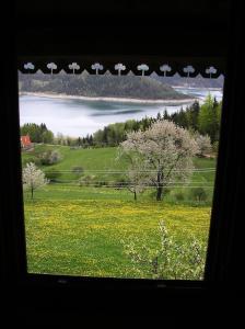a window view of a field of flowers and a lake at Konaci Zaovljanska jezera in Zaovine