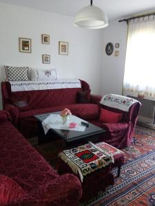 - un salon avec un canapé et une table dans l'établissement Kuća sa apartmanom, à Sarajevo