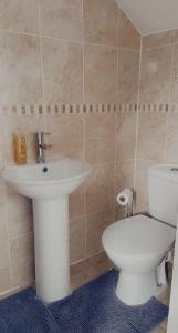 a bathroom with a white sink and a toilet at Plaza lodge in Gillingham