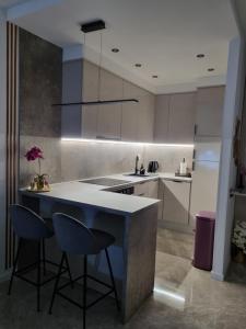 Superb Apartment "50Shades" with balcony and free parking in the garage的厨房或小厨房