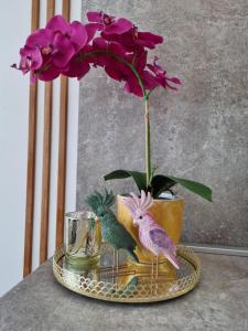 扎达尔Superb Apartment "50Shades" with balcony and free parking in the garage的相册照片