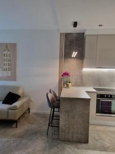 Superb Apartment "50Shades" with balcony and free parking in the garage的厨房或小厨房