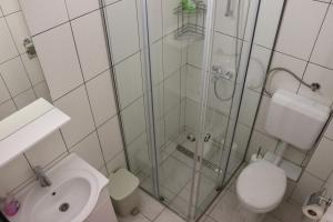uma casa de banho com um chuveiro, um WC e um lavatório. em Vila Ana em Travnik
