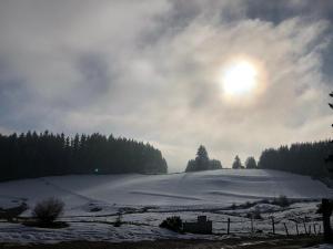 Przyroda w pobliżu tego domku letniskowego