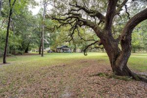 a tree in a park with a building in the background at Moody Woods in Orange Park