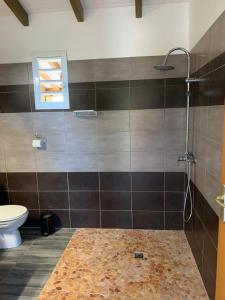 bagno con doccia e servizi igienici. di APPARTEMENT MILO 1 a Bouillante
