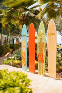 a row of surfboards on a sidewalk next to palm trees at Kauai Shores Hotel in Kapaa