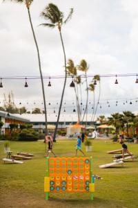 a group of people playing in a park with palm trees at Kauai Shores Hotel in Kapaa