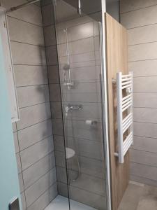 Appartement La Palmeraie Odalys Prestige Grimaud في غريمو: دش مع باب زجاجي في الحمام
