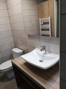格里莫的住宿－Appartement La Palmeraie Odalys Prestige Grimaud，一间带水槽和卫生间的浴室