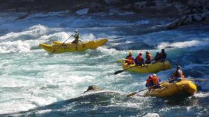 a group of people in yellow rafts in a river at Peuma Lodge Patagonia in Futaleufú