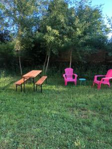 un grupo de sillas y una mesa de picnic en el césped en Tiny-House sous les arbres et les oiseaux, 