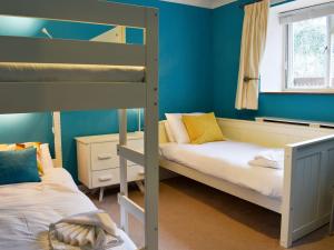 two bunk beds in a room with blue walls at Woodville in Porthmadog